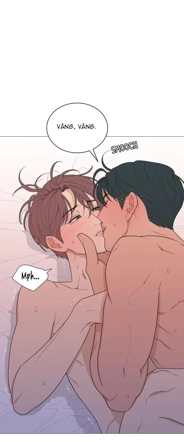 tổng hợp boylove 18+ Chapter 242 - Trang 1