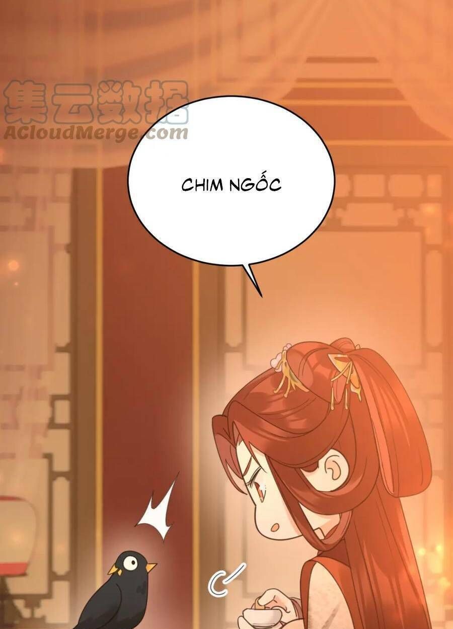 hoàng hậu vô đức chapter 88 - Trang 2