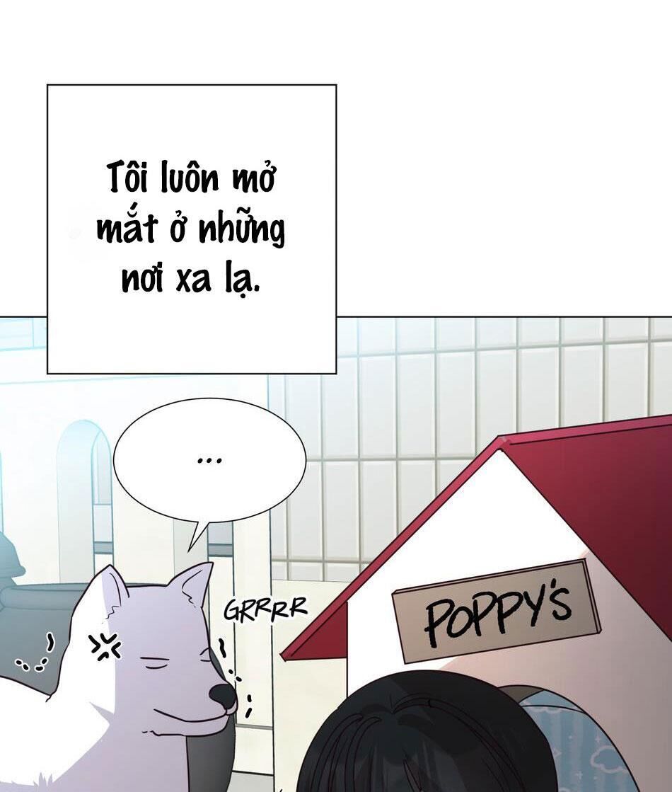 tuyển tập manhwa dằm khăm Chapter 8 -Ngủ ngon 1 - Trang 1