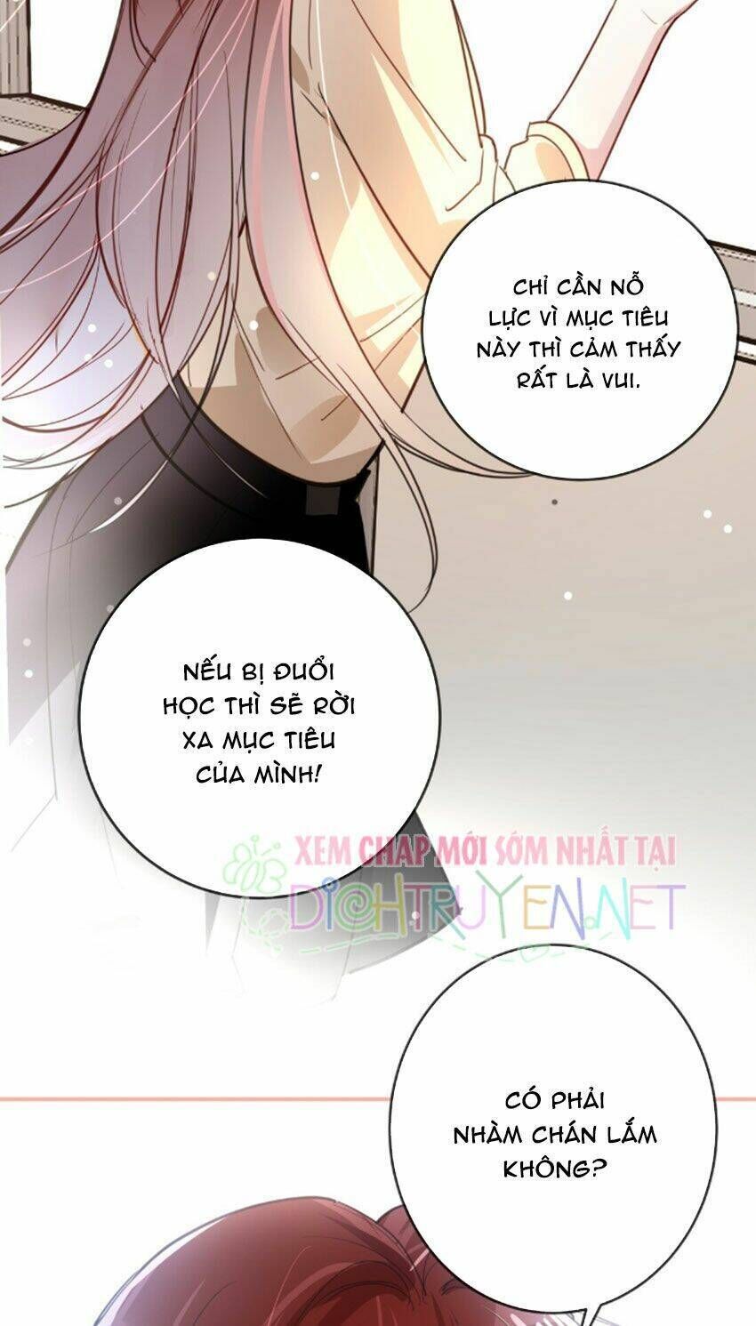 Em Là Bạc Hà Mèo Của Tôi Chapter 27 - Trang 2