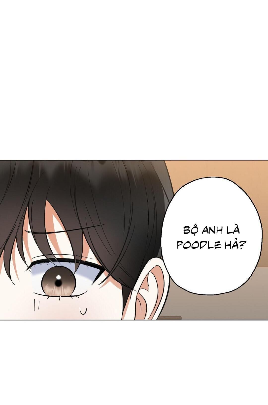 Yêu fan đừng yêu tôi Chapter 26 - Trang 1