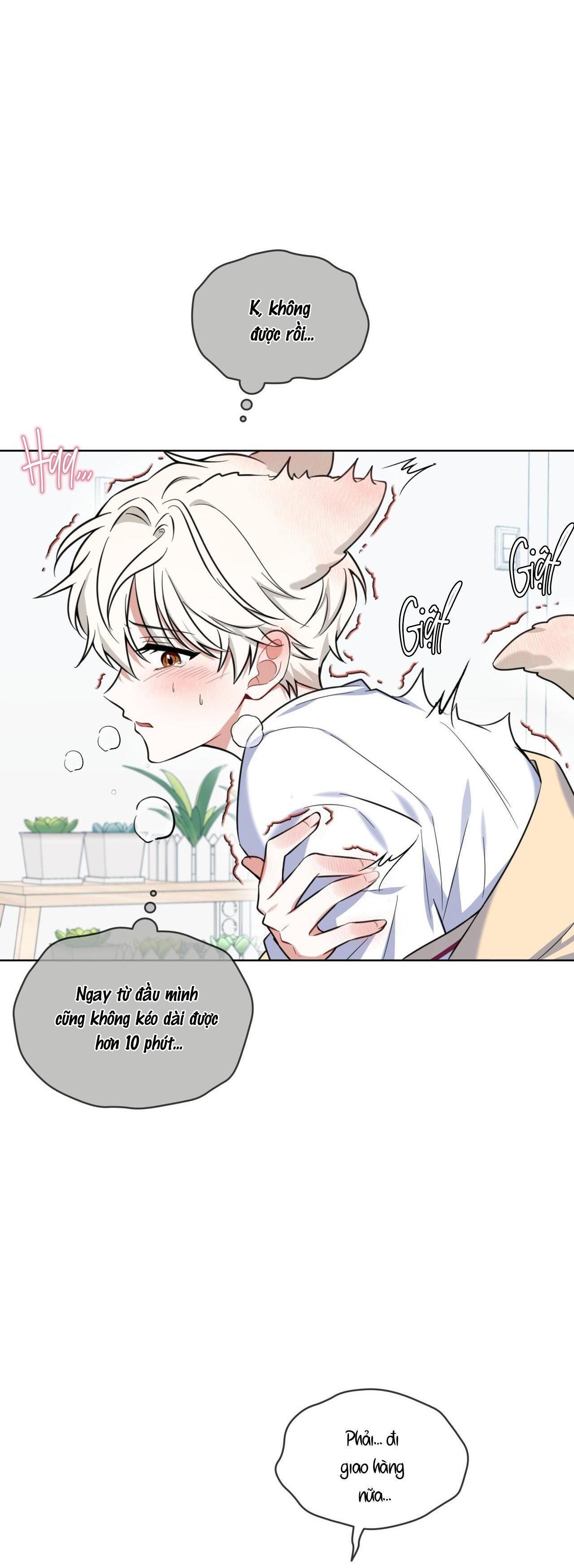 (CBunu) Tiệm đồ uống của cáo Flynn Chapter 2 - Trang 1