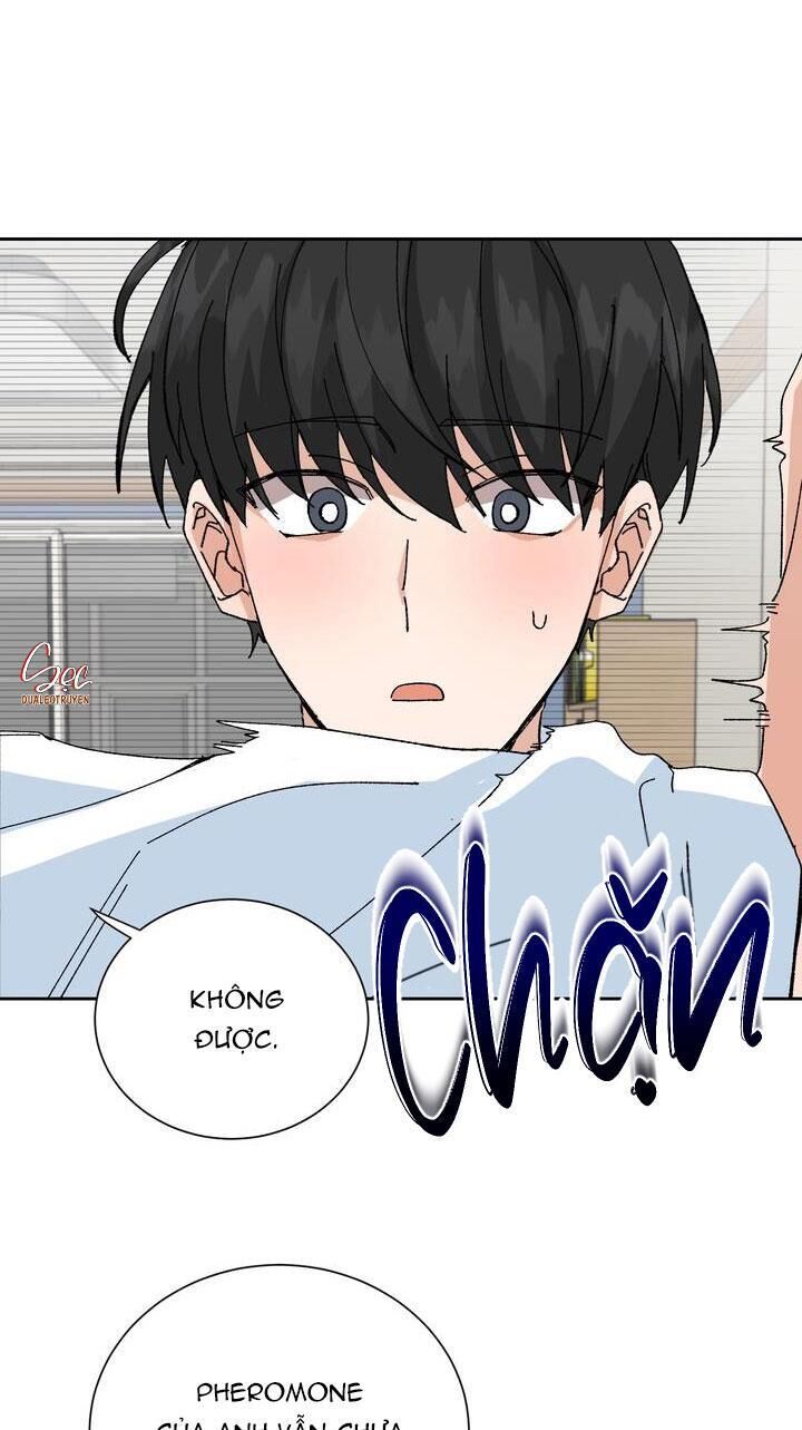 đặc quyền cho cặp đôi mới cưới Chapter 8 - Next Chương 9