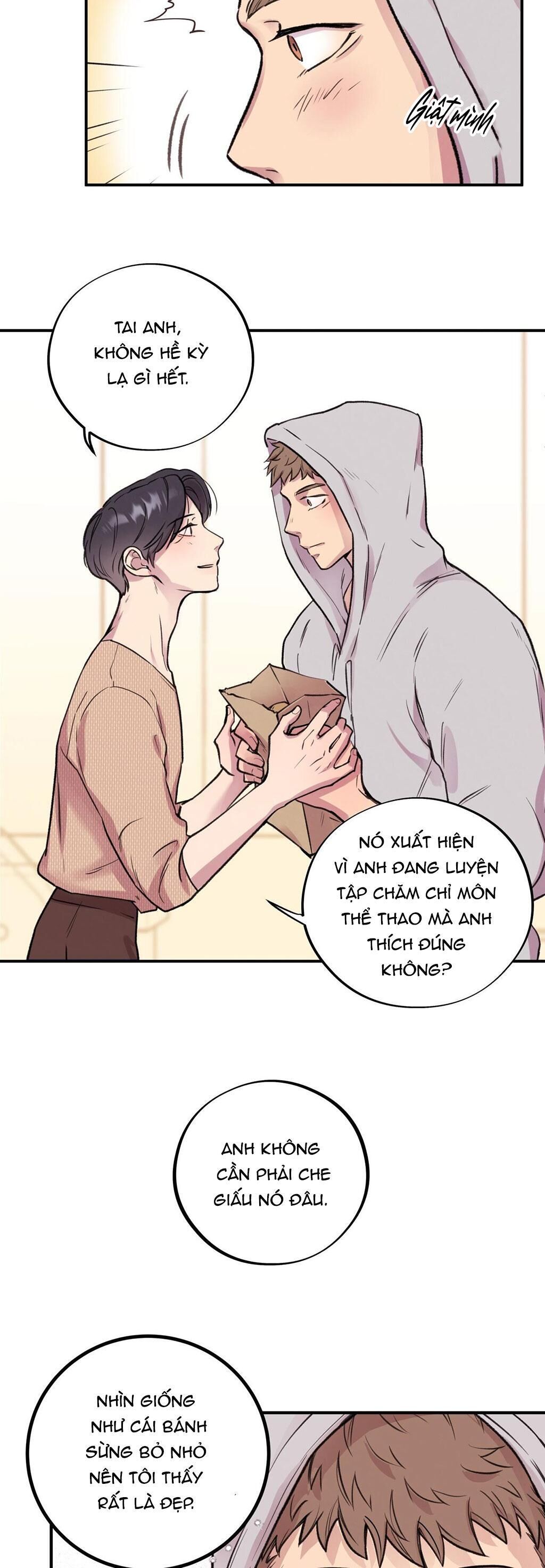 honey bear Chapter 3 - Trang 1