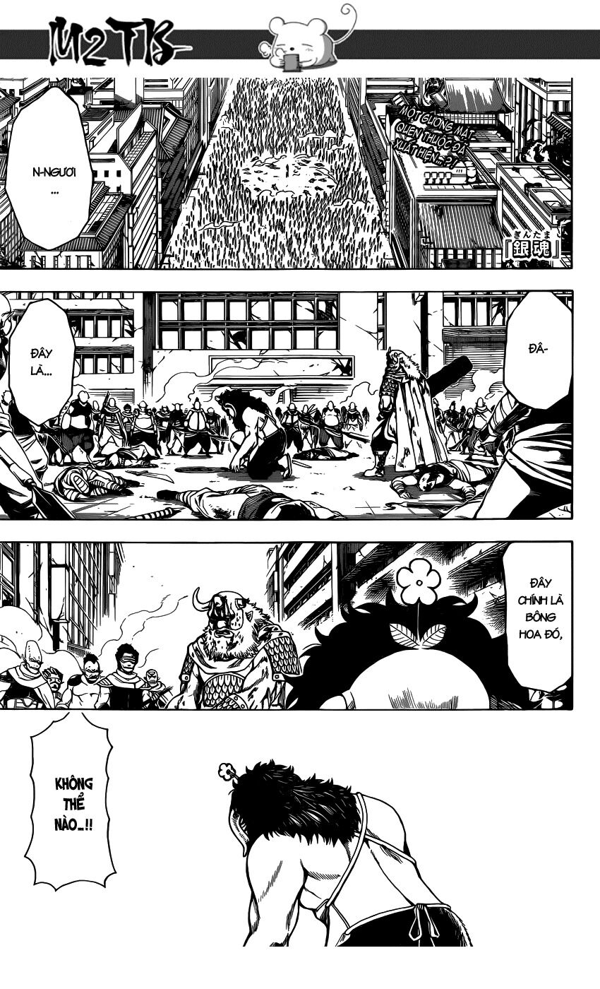 gintama chương 626 - Next chương 627