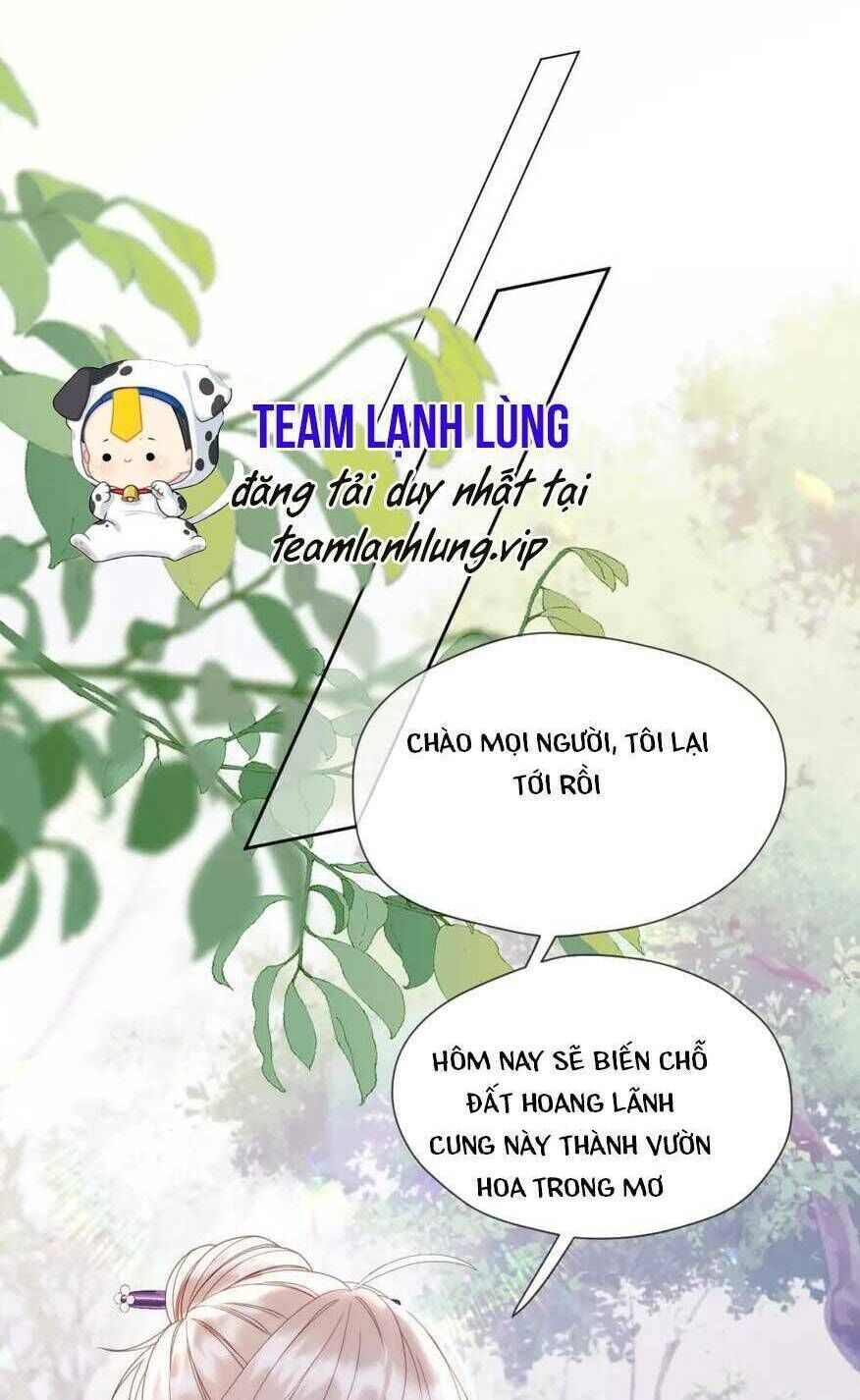 ta live stream trong lãnh cung chương 42 - Next chapter 43