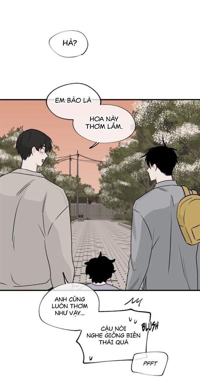 thủy triều thấp lúc chạng vạng Chapter 35 hachiennhom - Trang 1