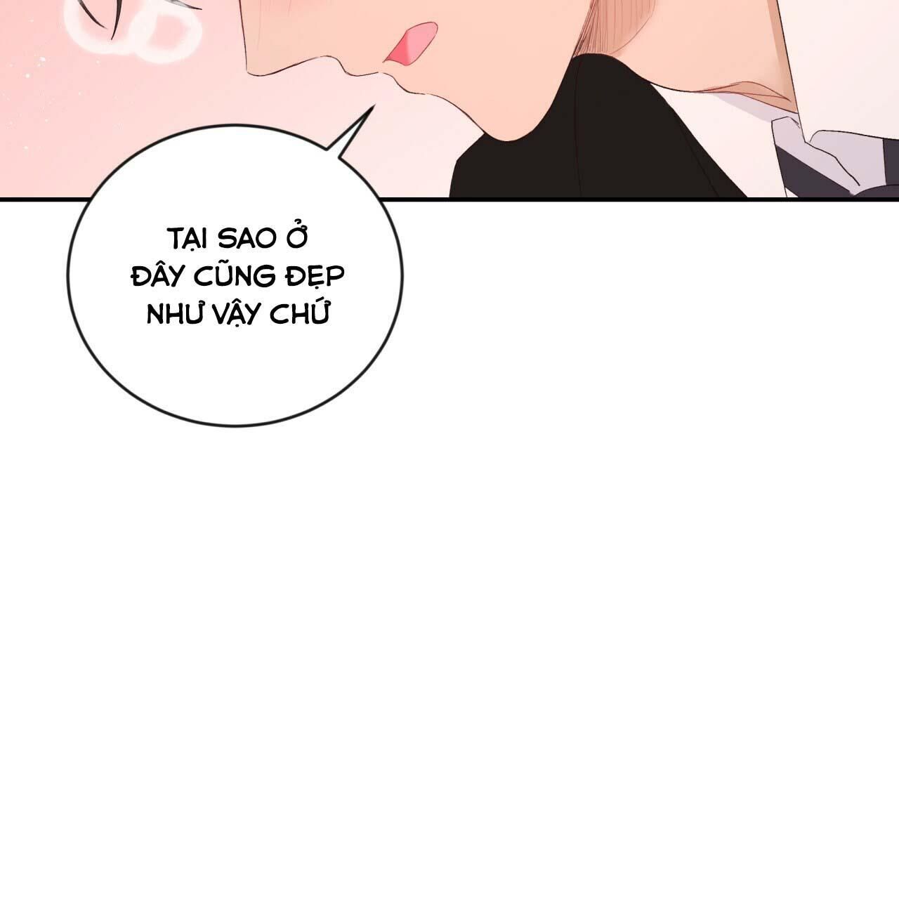 vị ngọt không đường (sweet not sugar) Chapter 14 - Trang 2