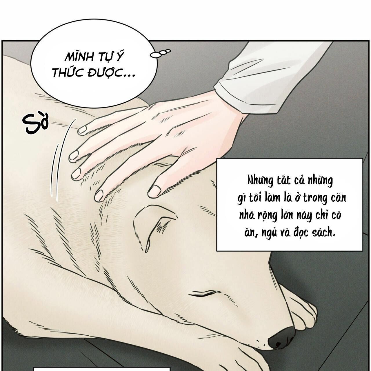 dù anh không yêu em Chapter 64 - Trang 2