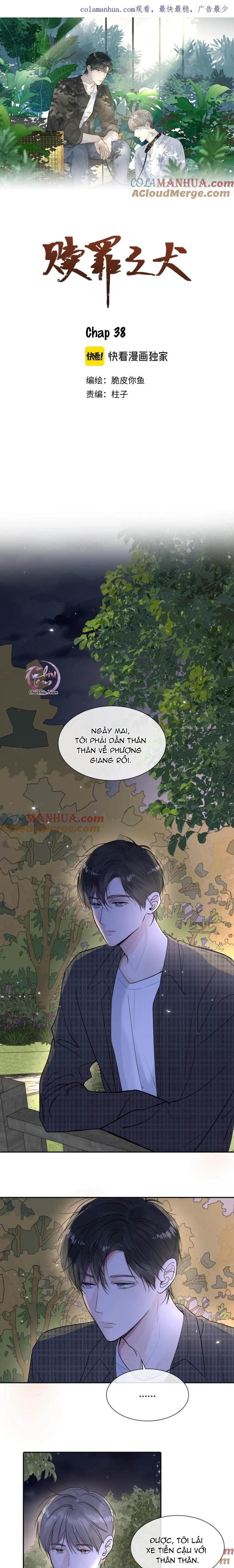 chó chuộc tội Chapter 38 - Trang 2