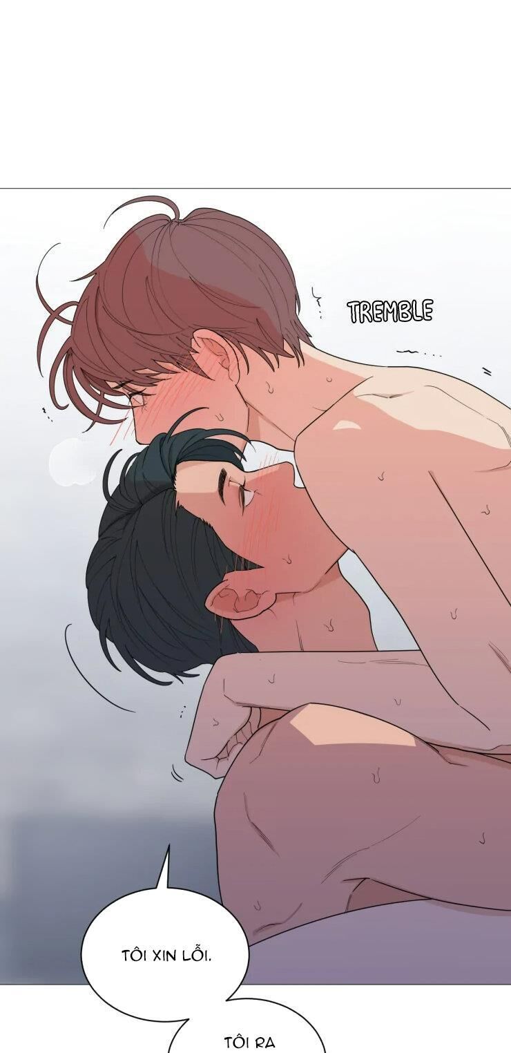 tổng hợp boylove 18+ Chapter 242 - Trang 1