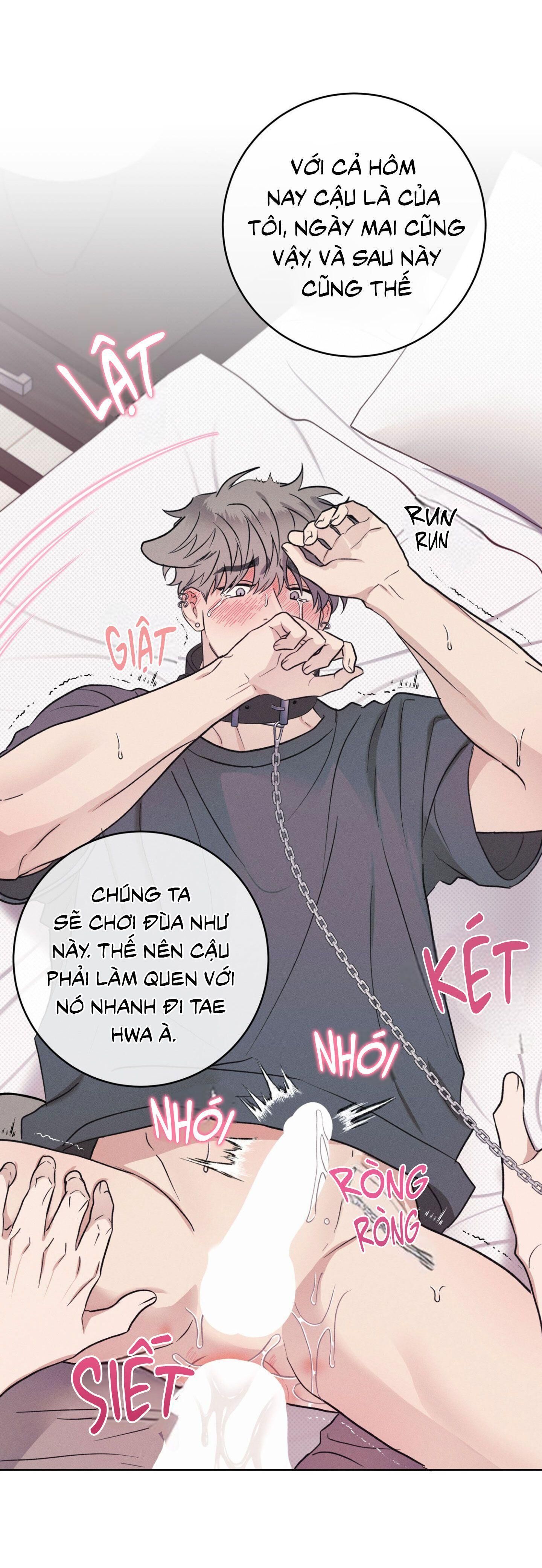 Nhật ký nuôi dưỡng sói hoang Chapter 9 - Next Chapter 9