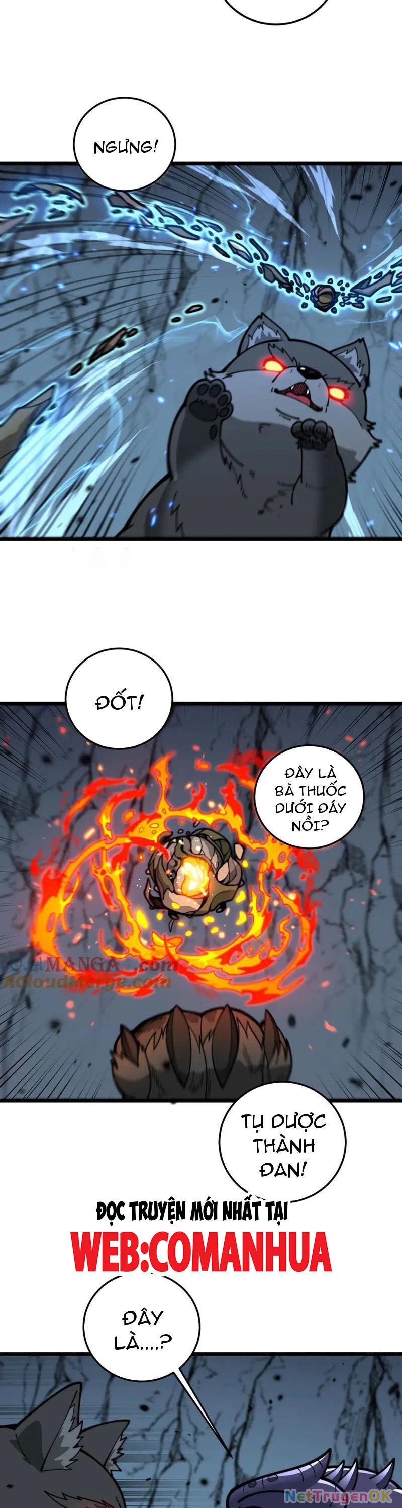 Lão Xà Tu Tiên Truyện Chapter 16 - Trang 2