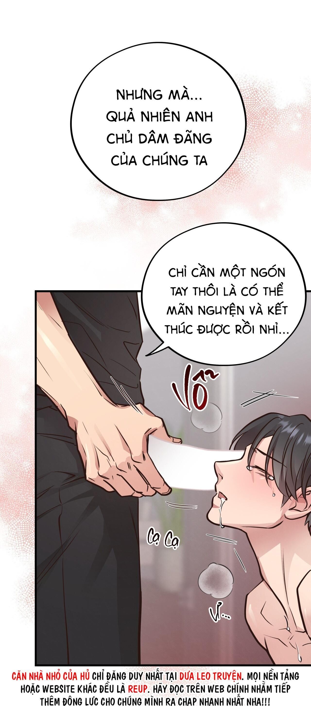 mật gấu Chapter 41 - Next Chapter 42