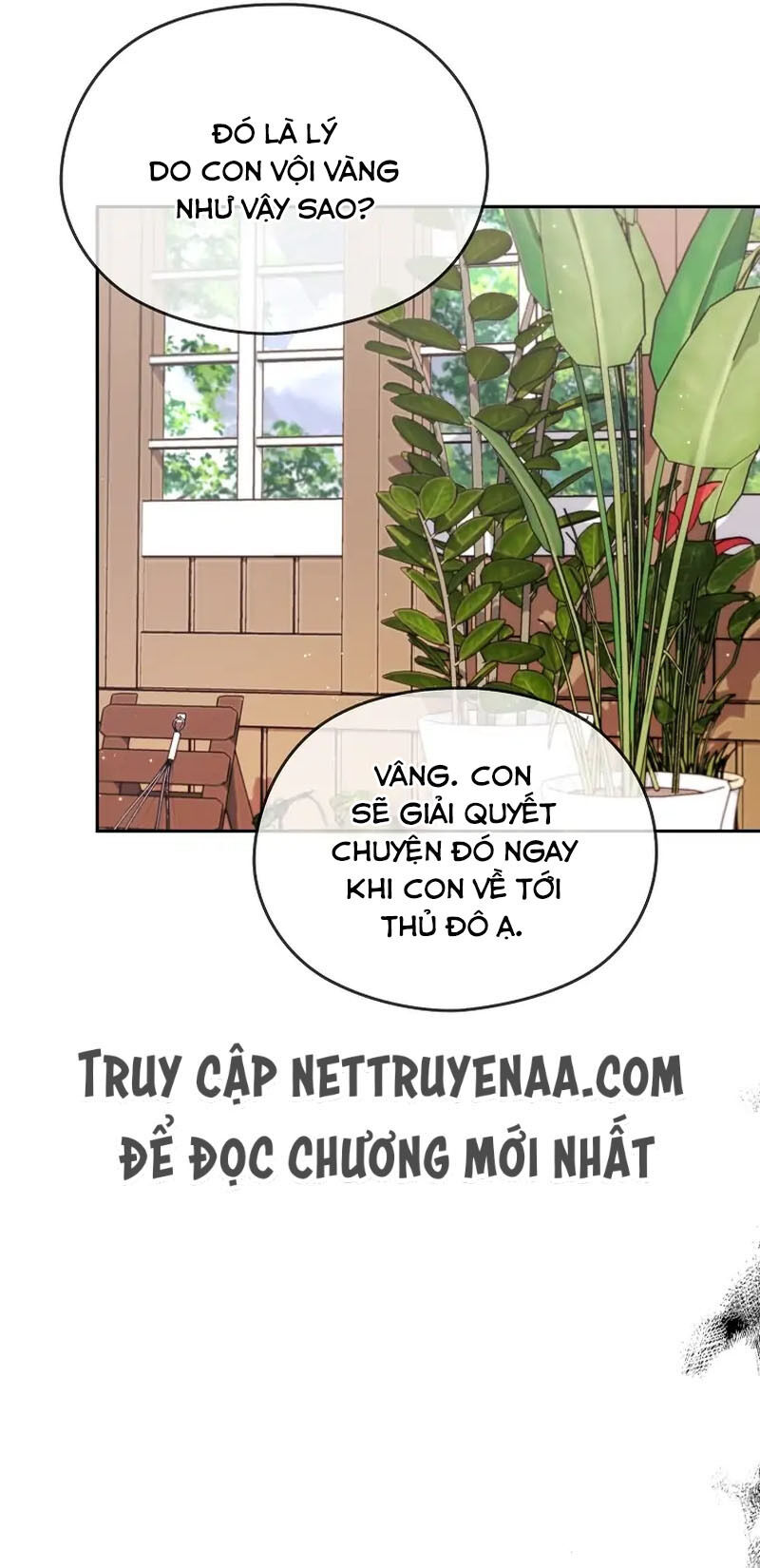 Cây Cúc Tây Thân Yêu Của Tôi Chapter 28 - Trang 2