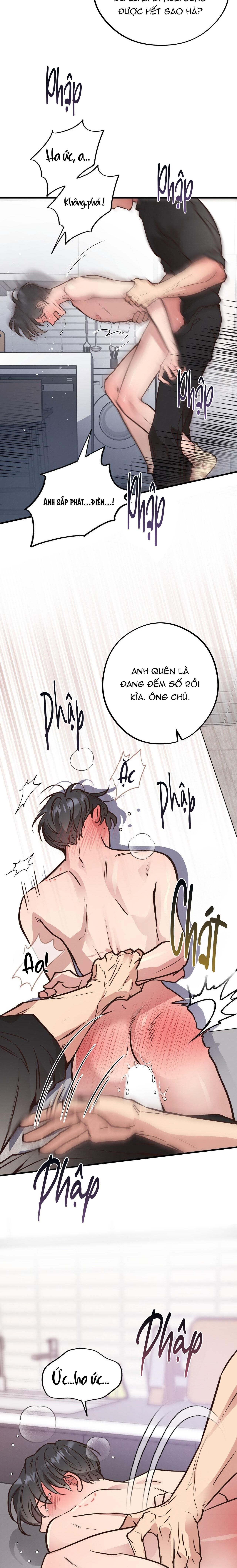 honey bear Chapter 41 - Trang 1