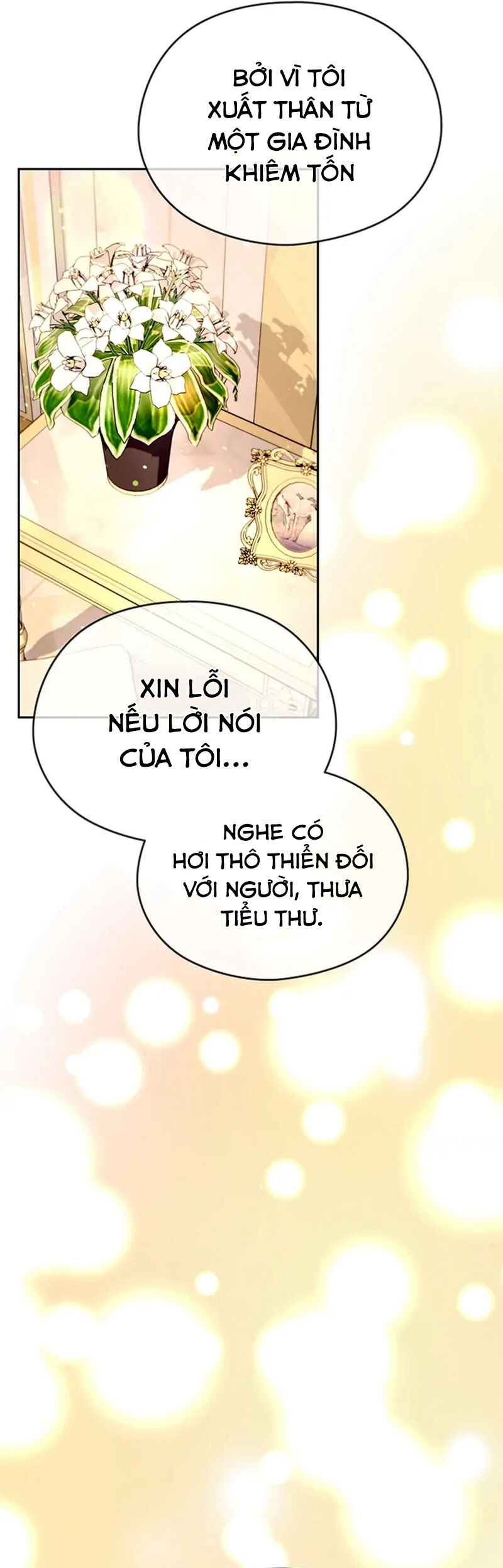 Cây Cúc Tây Thân Yêu Của Tôi Chapter 51 - Trang 2