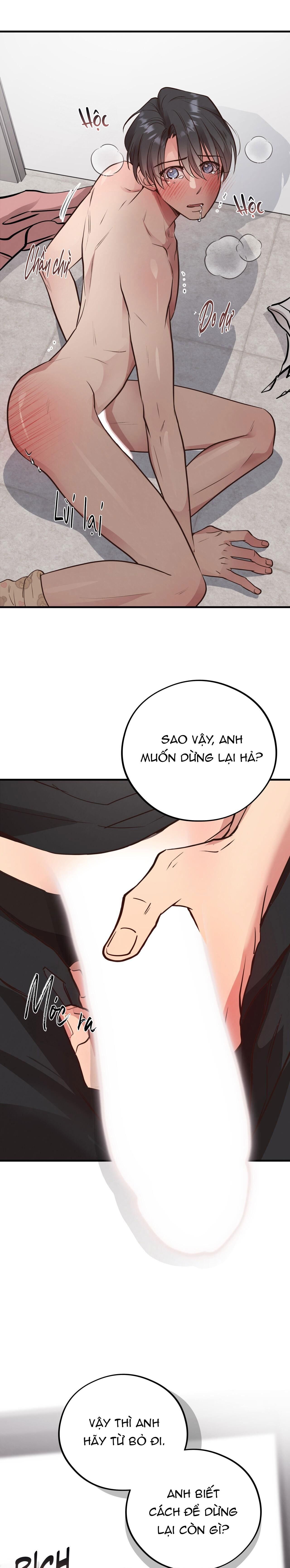 honey bear Chapter 41 - Trang 1