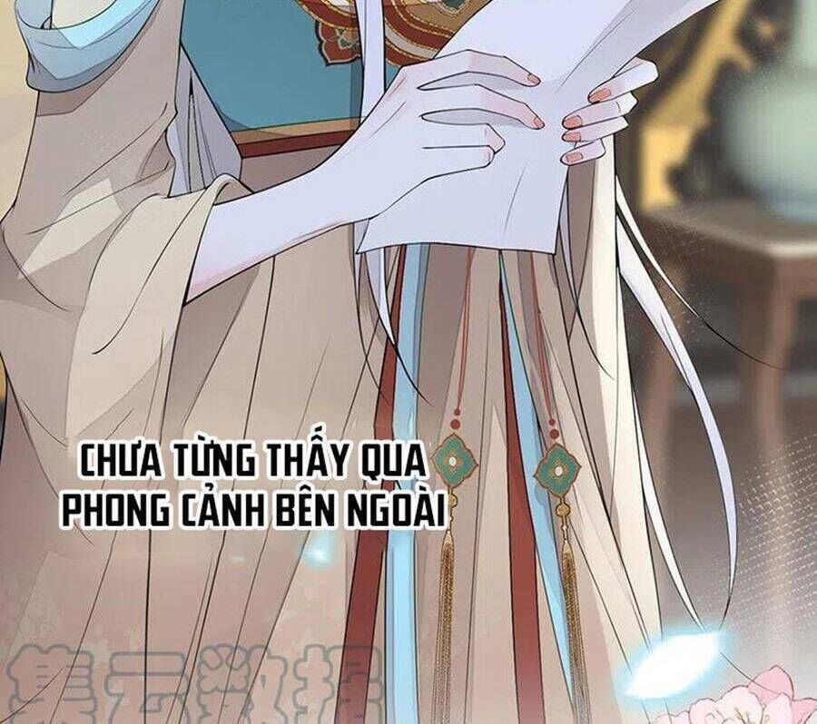 thái hậu quân hạ thần chapter 151 - Next chapter 152