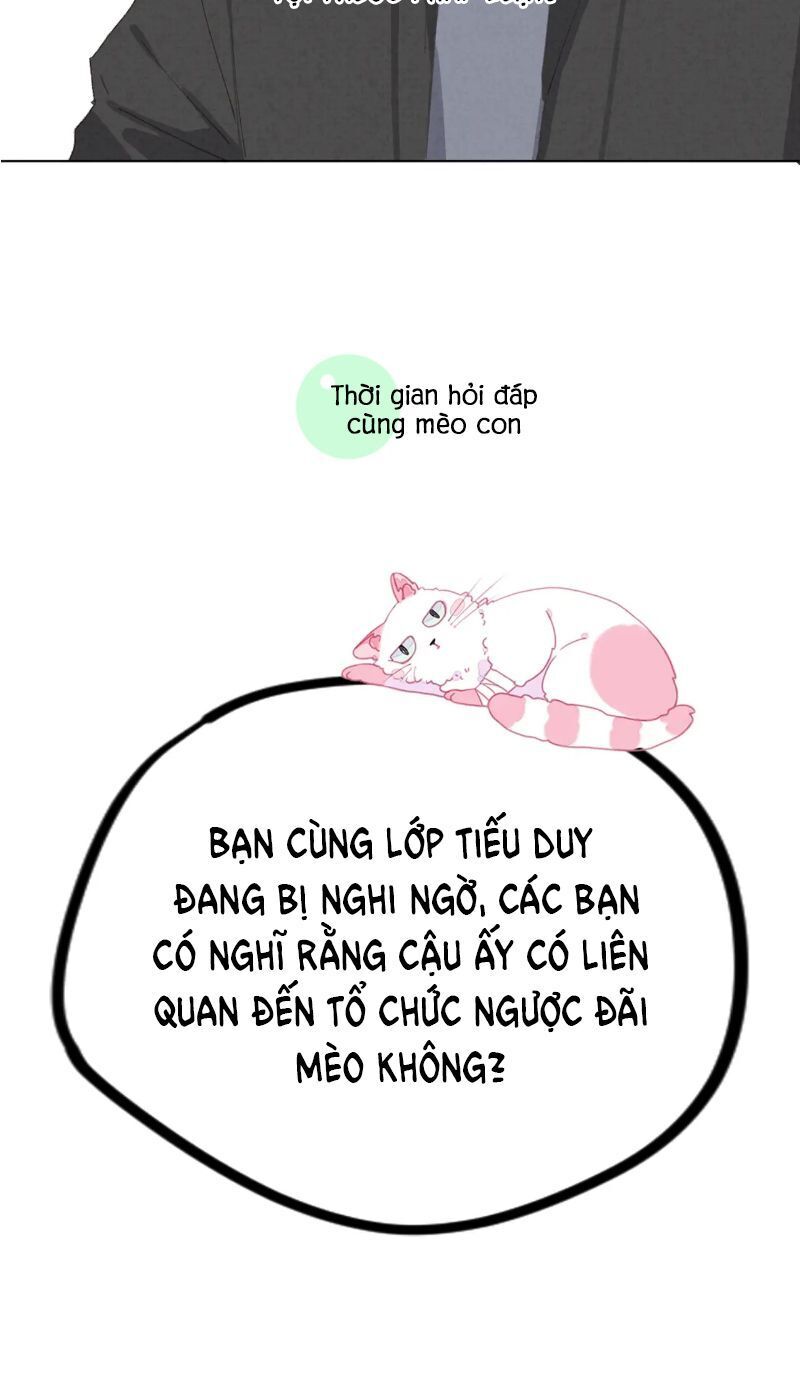 Thế giới của một chú mèo Chapter 29 - Trang 2