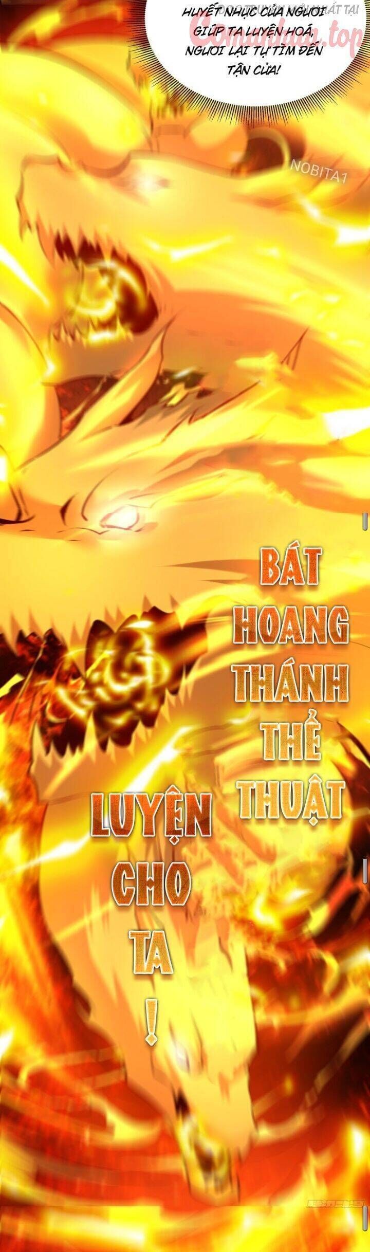 vạn đạo chúa tể Chapter 31 - Next Chapter 32