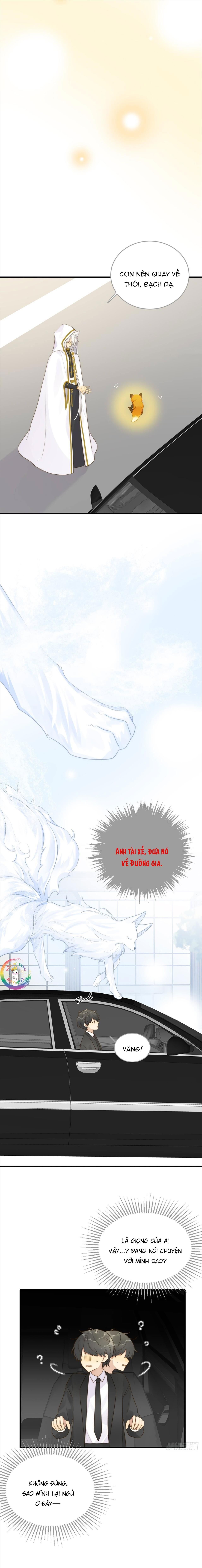 Chỉ Riêng Đuôi Là Không Được!!! Chapter 8 - Next Chapter 8