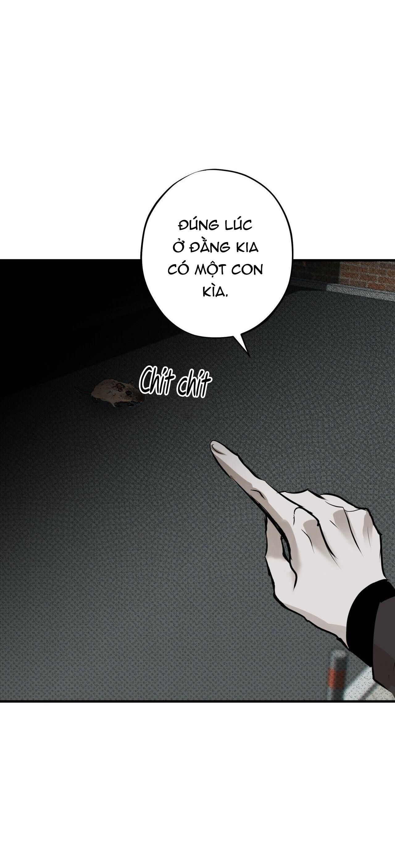 Risky Vice Chapter 5 - Trang 2