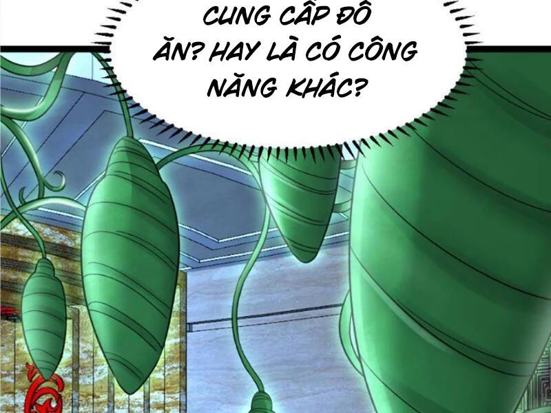 Toàn Cầu Băng Phong: Ta Chế Tạo Phòng An Toàn Tại Tận Thế Chapter 403 - Next Chapter 404