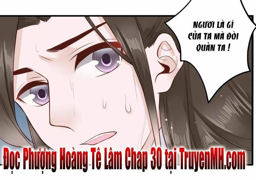 Phượng Hoàng Tê Lâm Chapter 29 - Trang 2