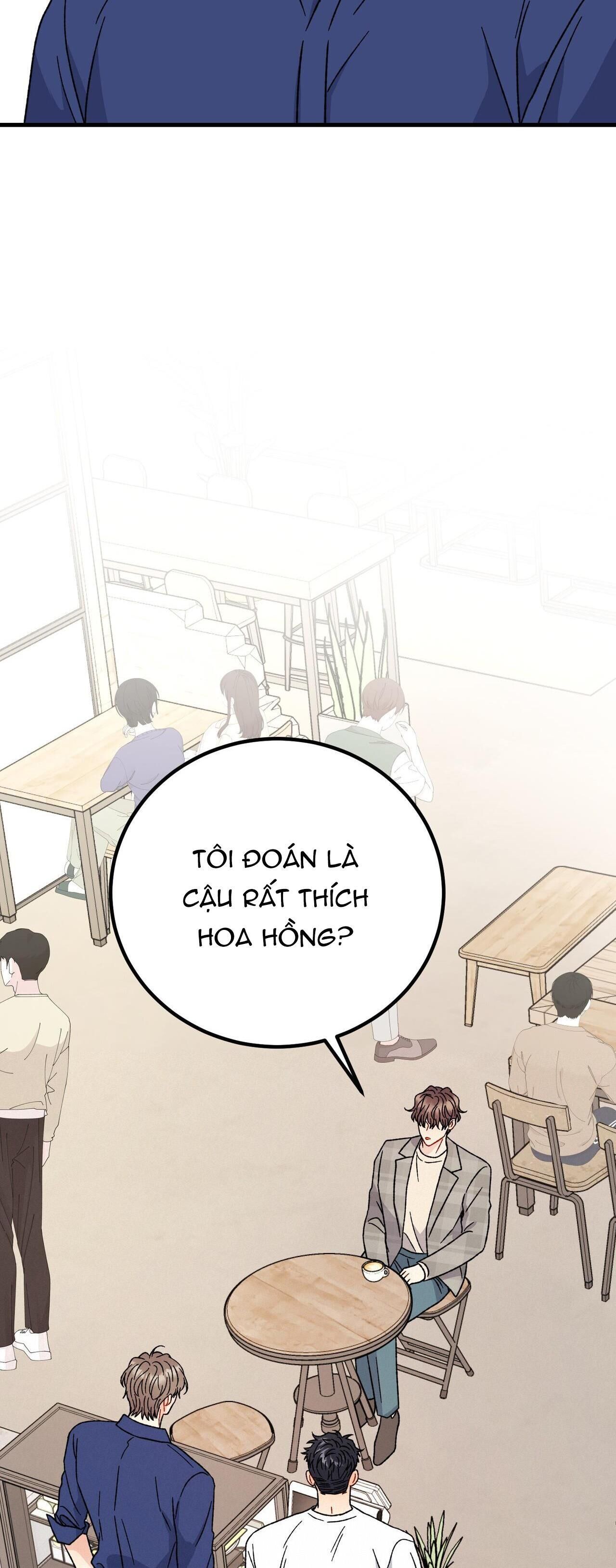 cậu không phải là gu của tôi Chapter 24 - Trang 1