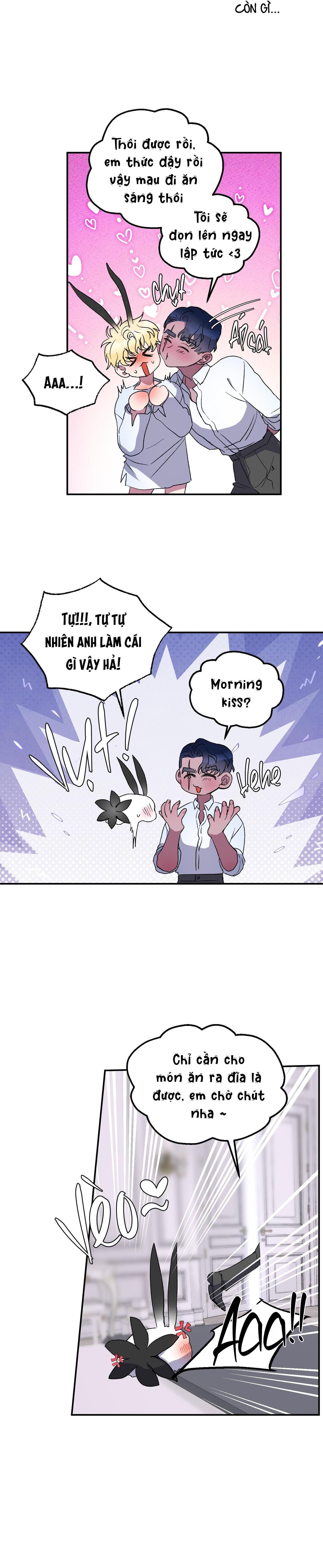 cá mập và cô dâu thỏ Chapter 26 - Trang 1