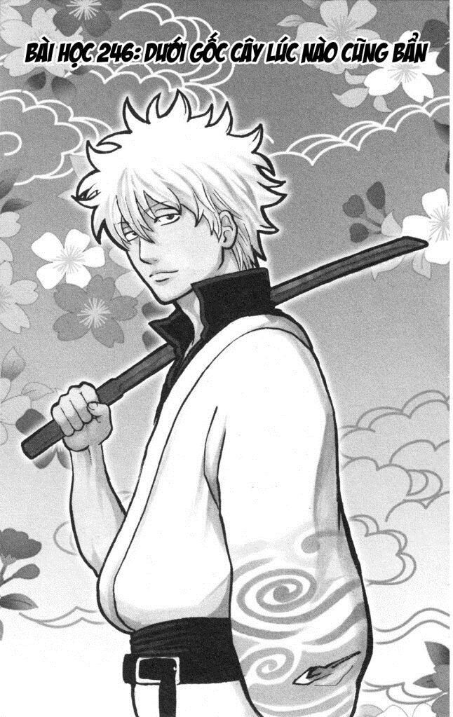 gintama chương 246 - Next chương 247