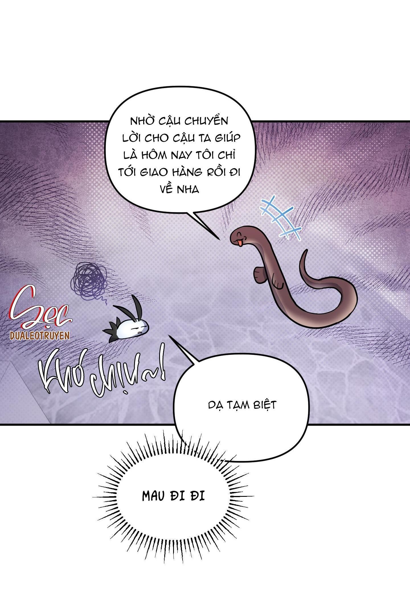 cá mập và cô dâu thỏ Chapter 32 - Trang 1