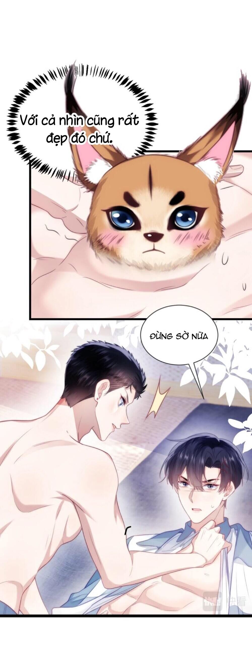 Tiểu Dã Miêu Của Học Bá Thật Trêu Người Chapter 15 - Next Chapter 16