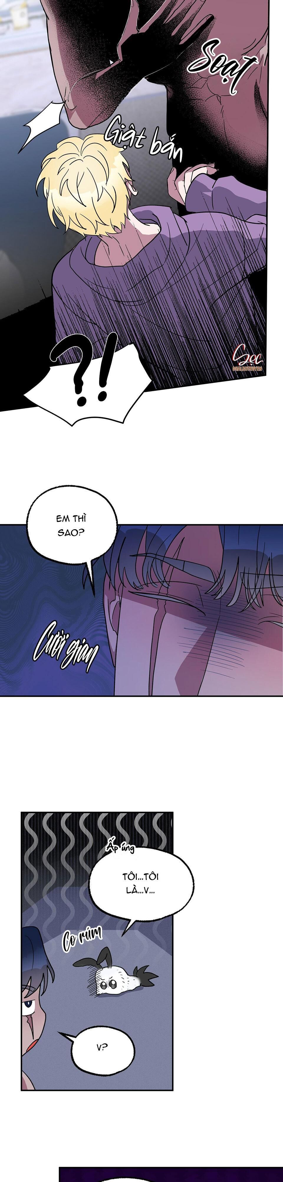 cá mập và cô dâu thỏ Chapter 4 - Trang 1