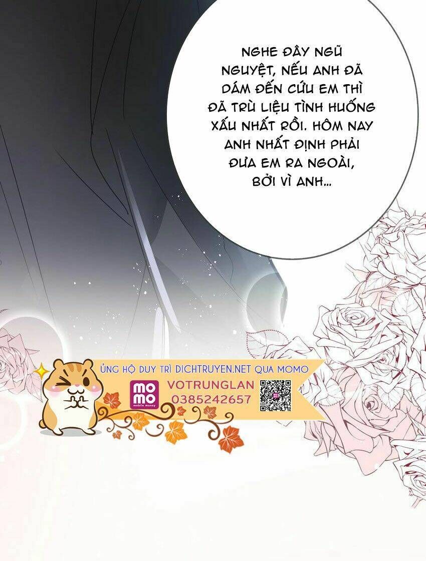 Em Là Bạc Hà Mèo Của Tôi Chapter 51 - Trang 2