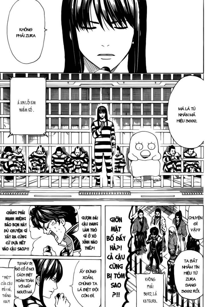 gintama chương 612 - Next chương 613