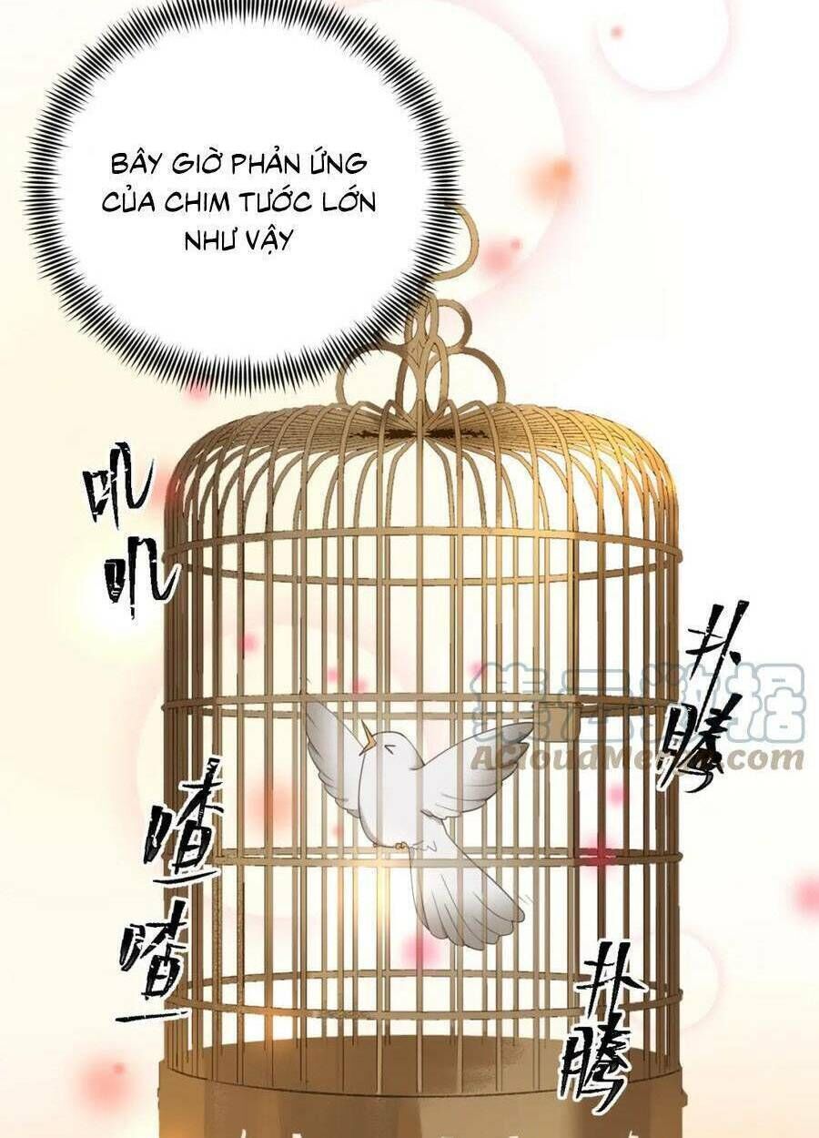 hoàng hậu vô đức chapter 80 - Trang 2