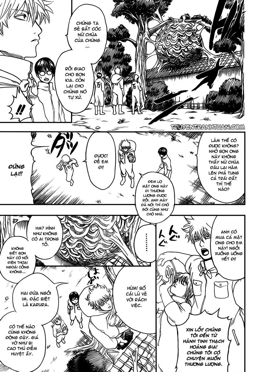 gintama chương 269 - Next chương 270