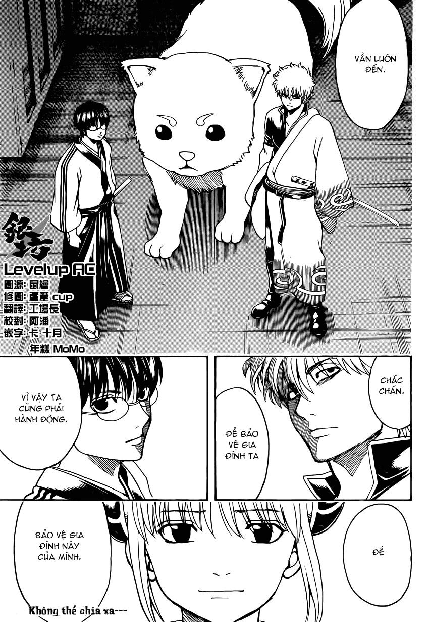 gintama chương 556 - Next chương 557