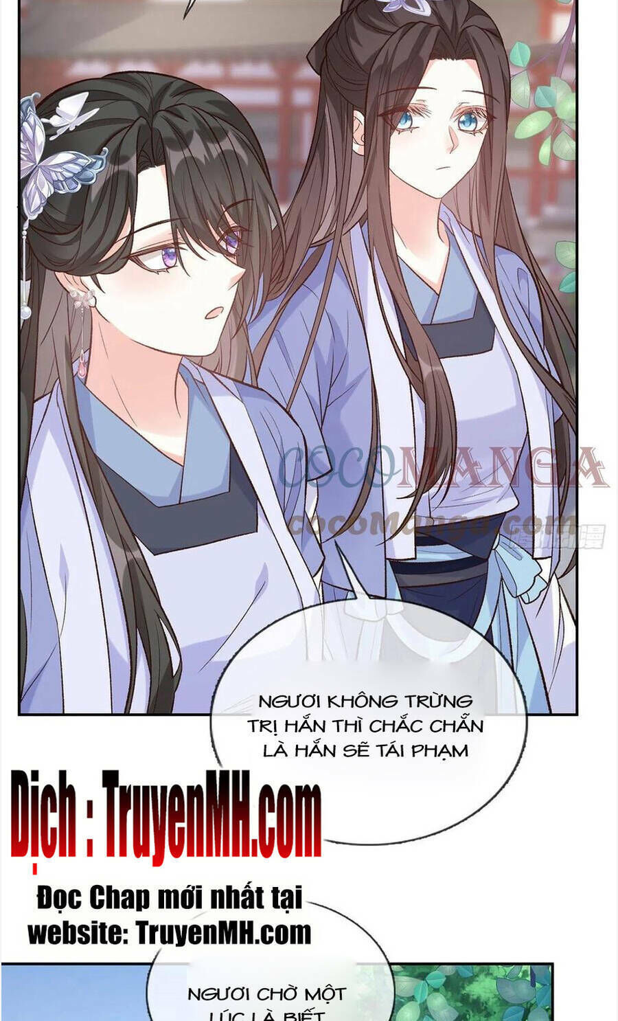 kiều mỵ phu lang, tại tuyến lục trà chapter 81 - Next chapter 82