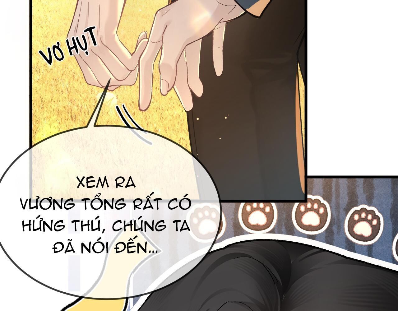 cuộc đối đầu gay gắt Chapter 47 - Next chapter 48