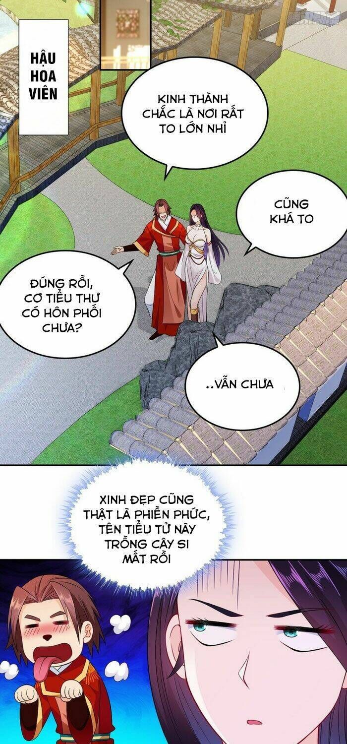 người ở rể bị ép thành phản diện Chapter 76 - Trang 2