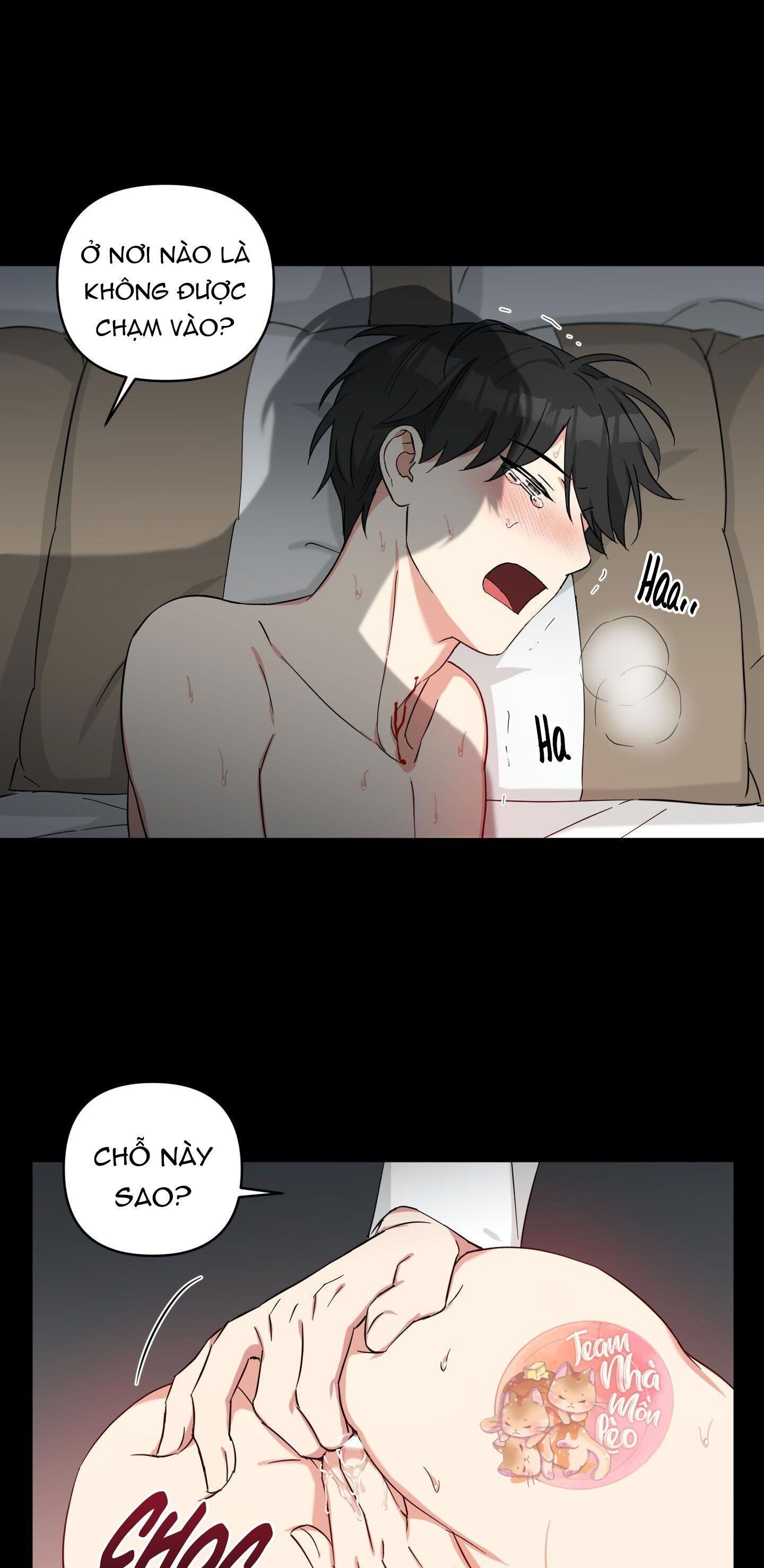 may rủi của vampire Chapter 20 - Trang 2