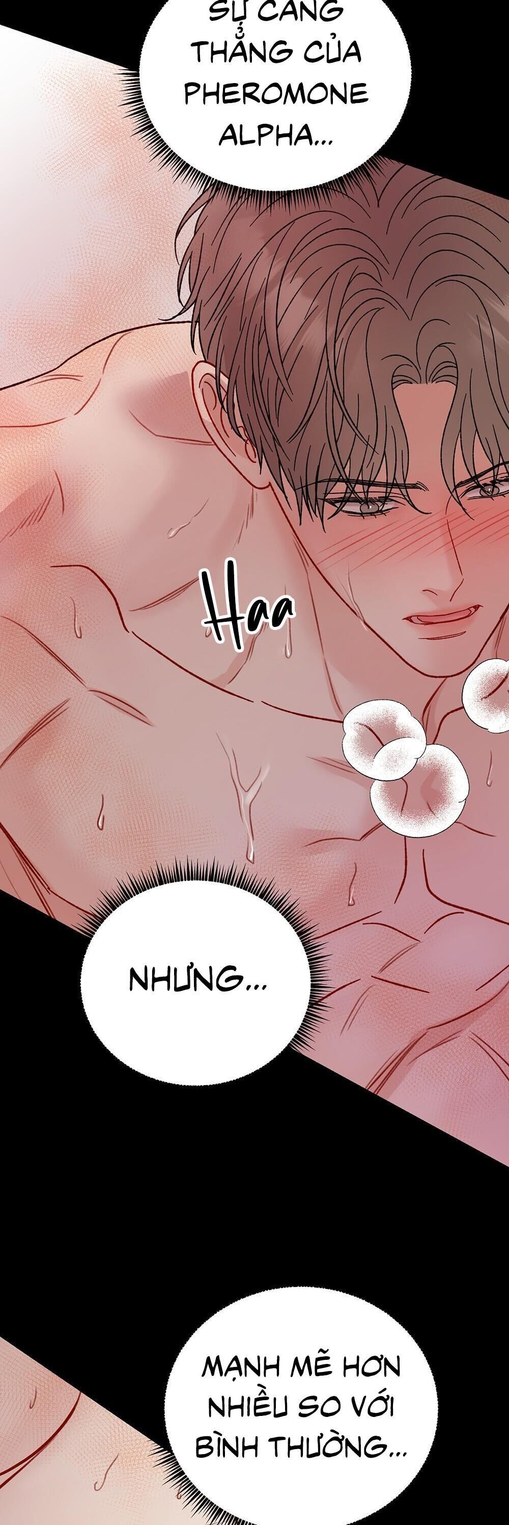 cậu không phải là gu của tôi Chapter 40 - Trang 1