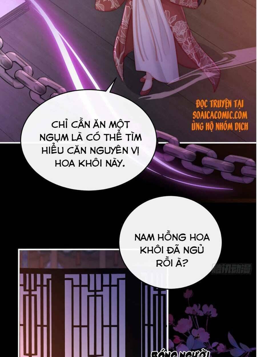 thê chủ, thỉnh hưởng dụng chapter 13 - Next chapter 14