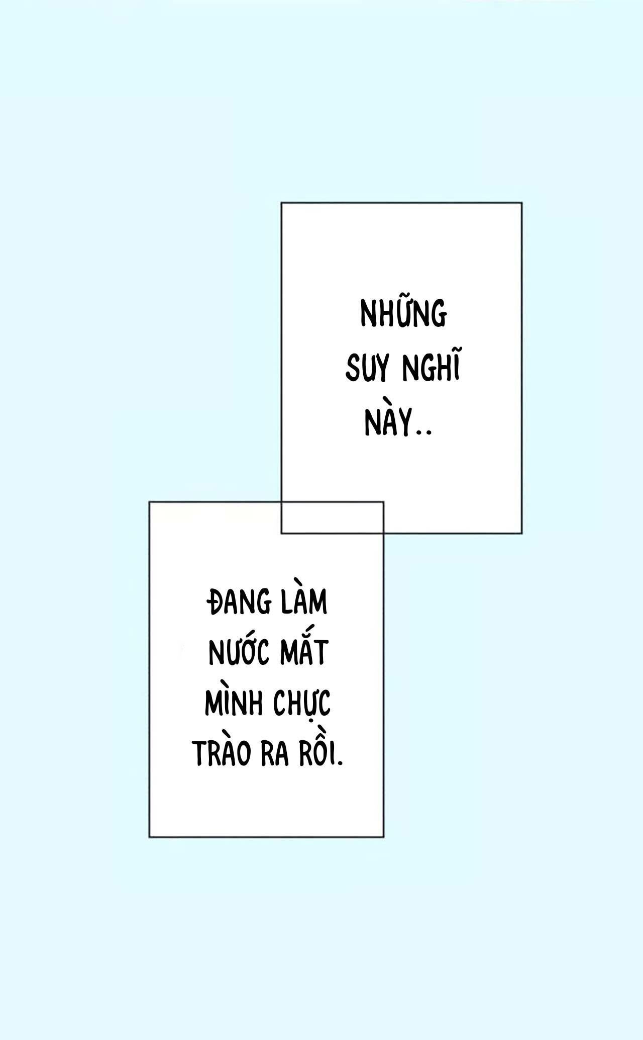 cây nhỏ và mùa xuân thân yêu Chapter 24 - Next Chapter 24