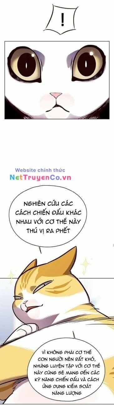 hoá thân thành mèo chapter 144 - Trang 1