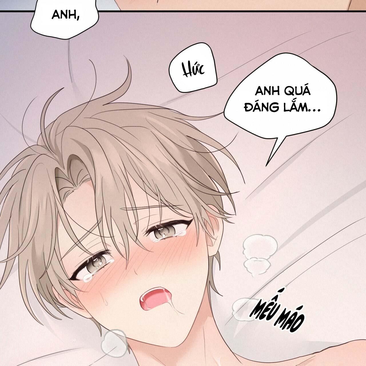 vị ngọt không đường (sweet not sugar) Chapter 15 - Trang 2