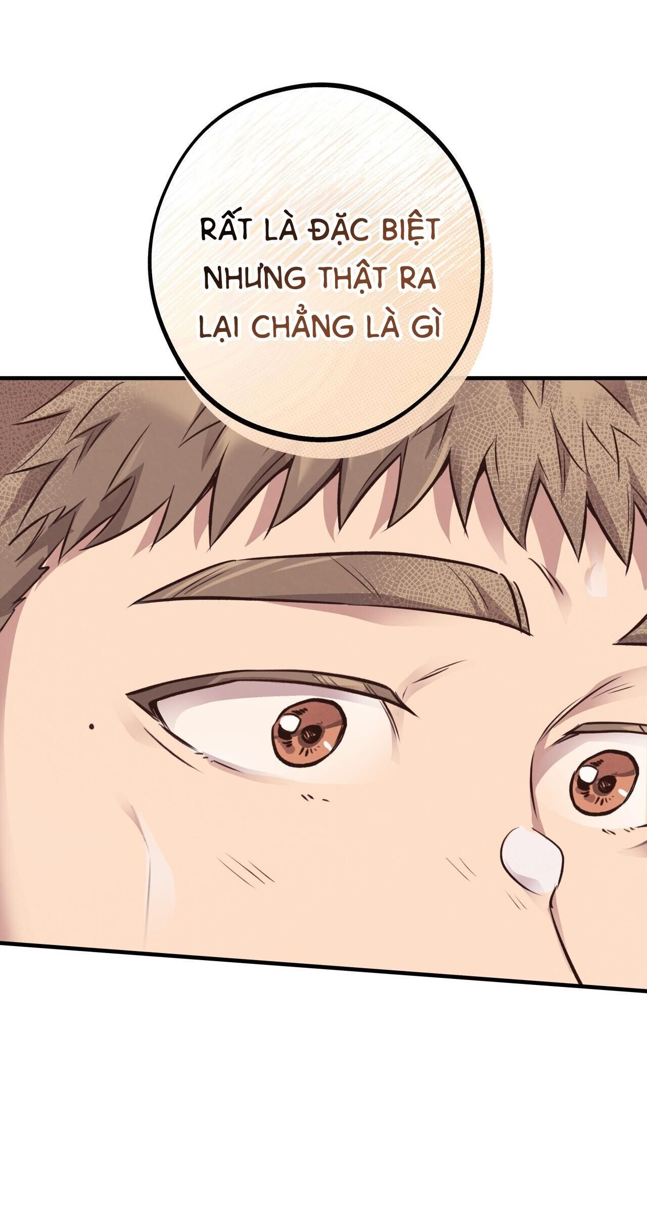 mật gấu Chapter 31 SS2 - Next Chương 32